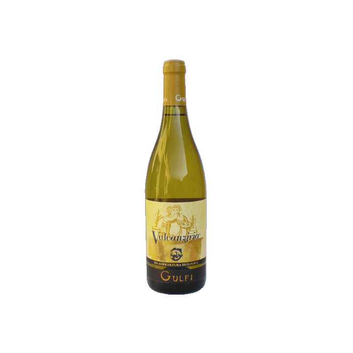 Valcanzjria 2009 Gulfi lt.0,75
