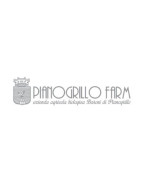 Pianogrillo